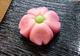 桜の生菓子